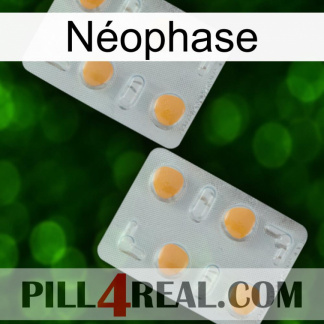 Néophase 25